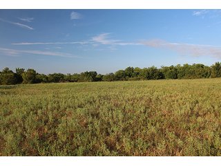 Tract 14 - LAND AUCTION - 440+/- Acres offered in 15 Tracts in Tulsa County